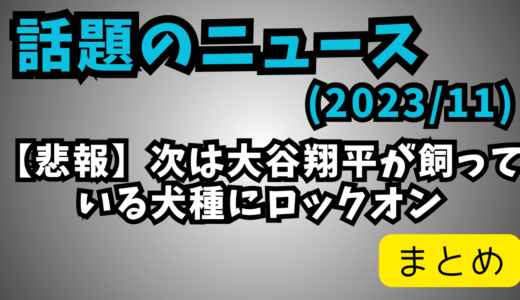 【悲報】全国の大谷翔平「あの犬はなんだ！」「犬種は！」「どこに売ってる！」「値段は！」